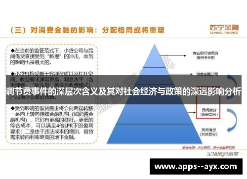 调节费事件的深层次含义及其对社会经济与政策的深远影响分析