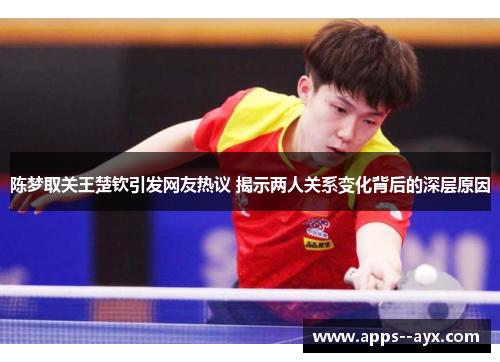 陈梦取关王楚钦引发网友热议 揭示两人关系变化背后的深层原因