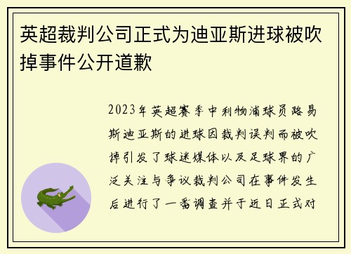 英超裁判公司正式为迪亚斯进球被吹掉事件公开道歉